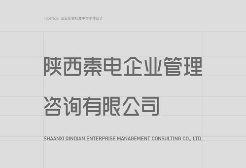 秦電企業管理咨詢企業形象設計