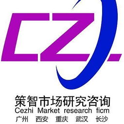 咨詢服務 長沙策智市場調研公司